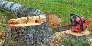 Best Hazardous Tree Removal  in Holmen, WI